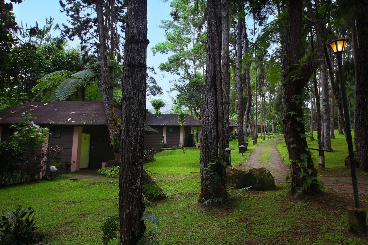 Eden Nature Park And Resort Davao City Екстериор снимка